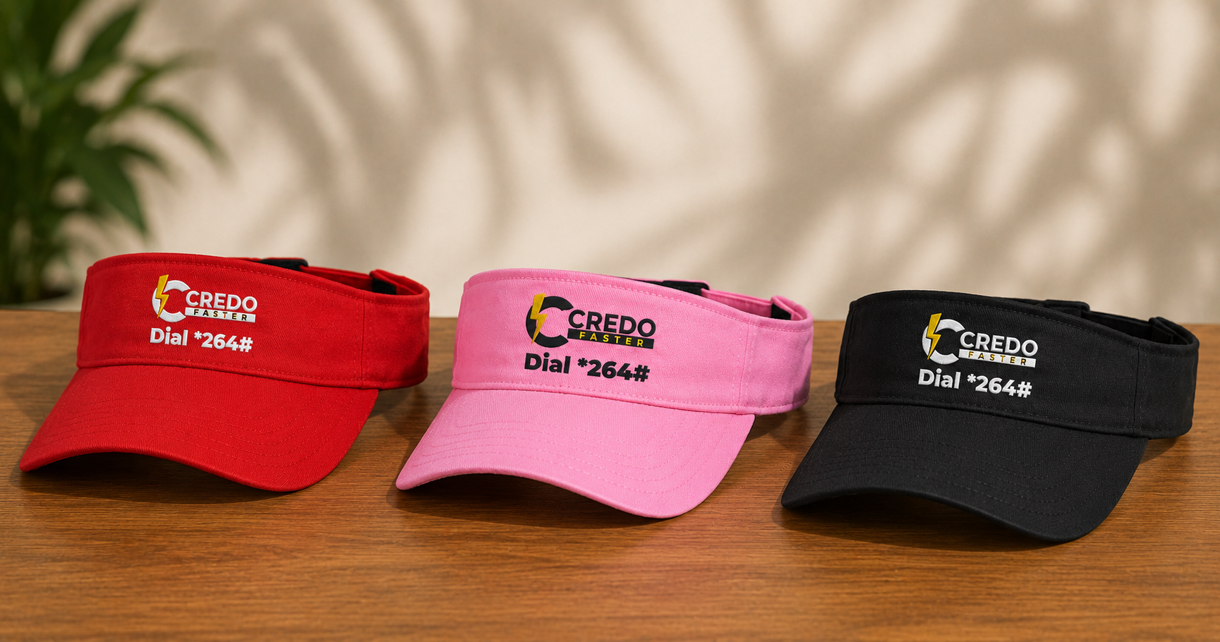 Visors